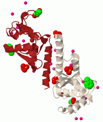 Image Biol.Unit 1 - manually