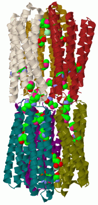 Image Biol.Unit 1 - manually