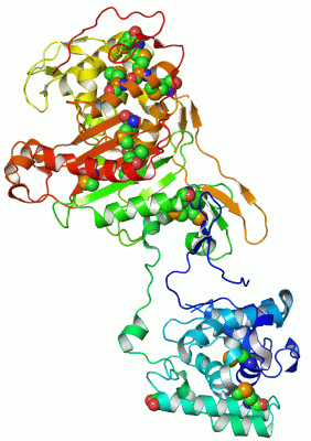 Image Asym./Biol. Unit - manually