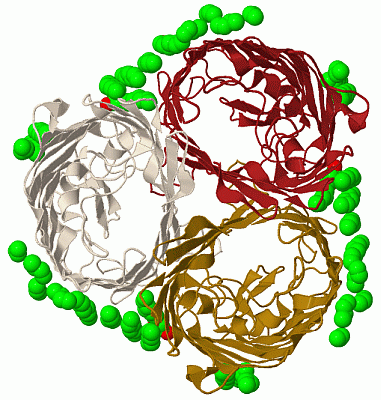 Image Biol.Unit 1 - manually