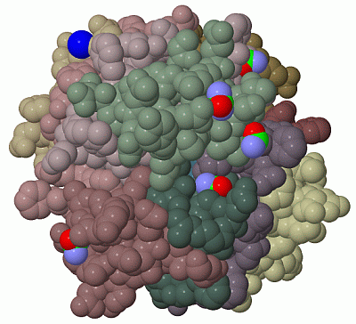 Image Biol.Unit 1 - manually