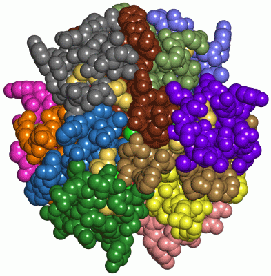 Image Asym./Biol. Unit - manually