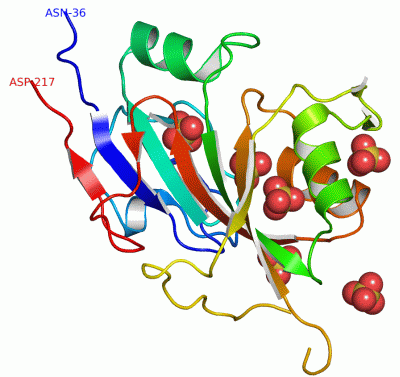 Image Asym./Biol. Unit - manually