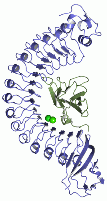 Image Asym./Biol. Unit - manually