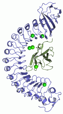 Image Asym./Biol. Unit - manually