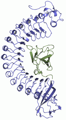 Image Asym./Biol. Unit - manually