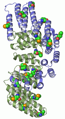 Image Asym./Biol. Unit - manually
