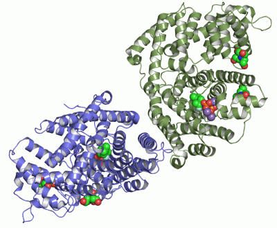 Image Asym./Biol. Unit - manually