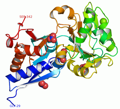 Image Asym./Biol. Unit - manually