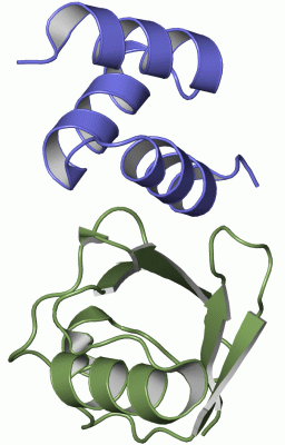 Image Asym./Biol. Unit - manually