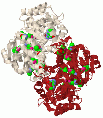 Image Biol.Unit 1 - manually