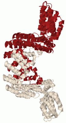 Image Biol.Unit 1 - manually