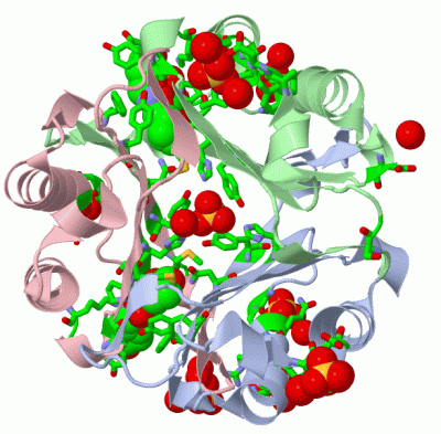 Image Asym./Biol. Unit - manually