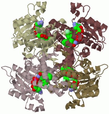 Image Biol.Unit 1 - manually