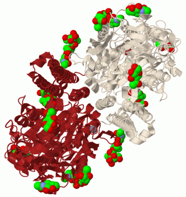 Image Biol.Unit 1 - manually