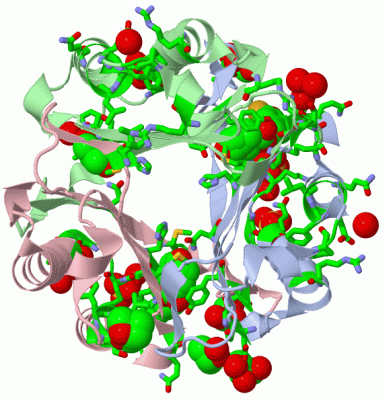 Image Asym./Biol. Unit - manually