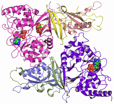 Image Asym./Biol. Unit - manually