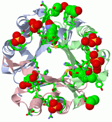 Image Asym./Biol. Unit - manually