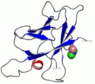 Image Asym./Biol. Unit - manually