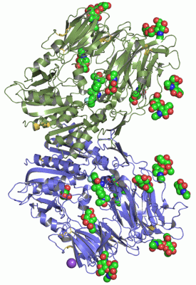 Image Asym./Biol. Unit - manually