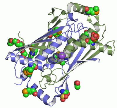 Image Asym./Biol. Unit - manually