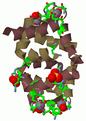 Image Biol.Unit 1 - manually