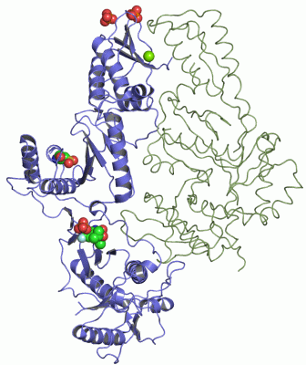 Image Asym./Biol. Unit - manually