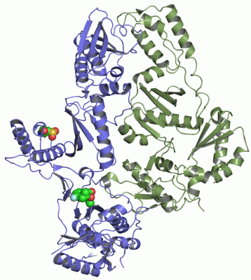 Image Asym./Biol. Unit - manually