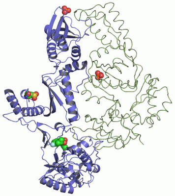 Image Asym./Biol. Unit - manually