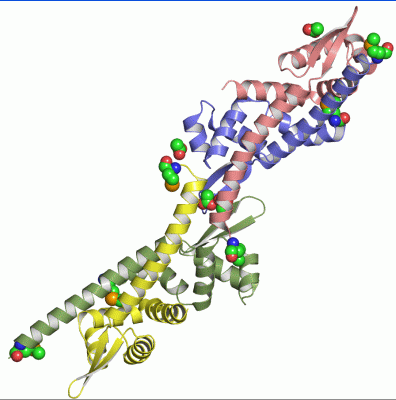 Image Asym./Biol. Unit - manually