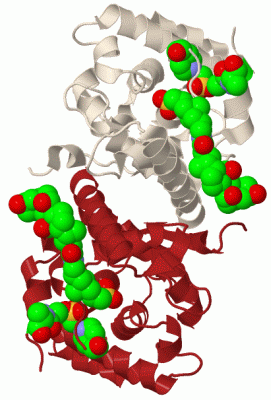 Image Biol.Unit 1 - manually