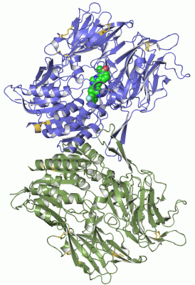 Image Asym./Biol. Unit - manually