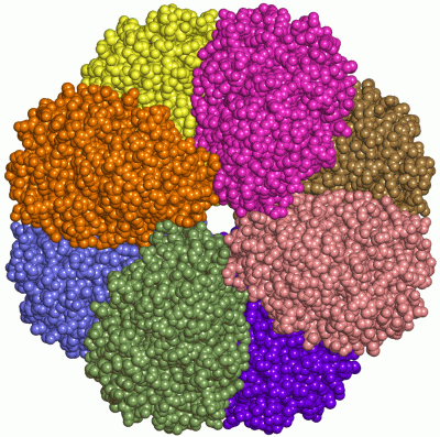 Image Asym./Biol. Unit - manually