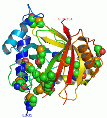 Image Asym./Biol. Unit - manually