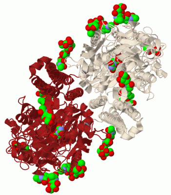 Image Biol.Unit 1 - manually