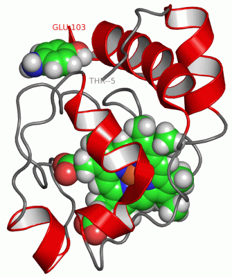 Image NMR Structure - manually