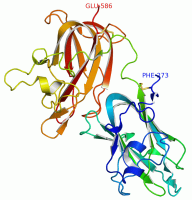 Image Asym./Biol. Unit - manually