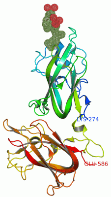 Image Asym./Biol. Unit - manually