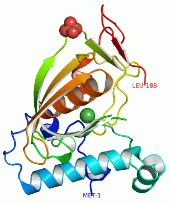 Image Asym./Biol. Unit - manually