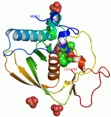 Image Asym./Biol. Unit - manually