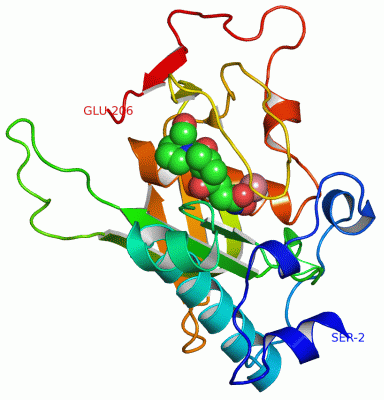 Image Asym./Biol. Unit - manually