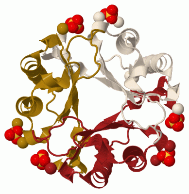 Image Biol.Unit 1 - manually