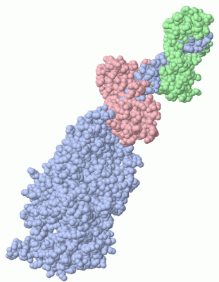 Image Asym./Biol. Unit - manually