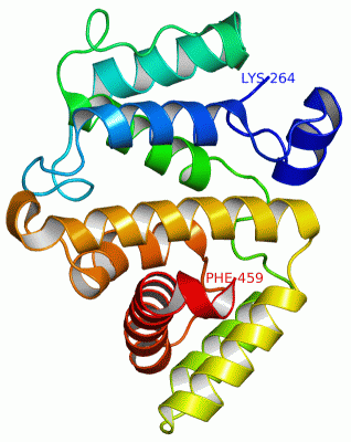 Image Asym./Biol. Unit - manually