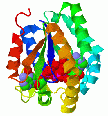 Image Biol.Unit 1 - manually