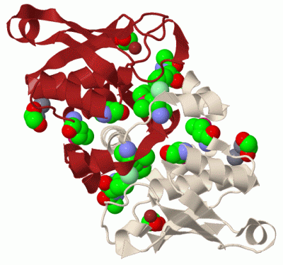 Image Biol.Unit 1 - manually