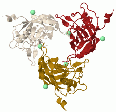 Image Biol.Unit 1 - manually