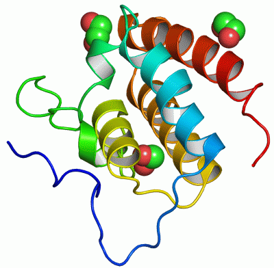 Image Asym./Biol. Unit - manually