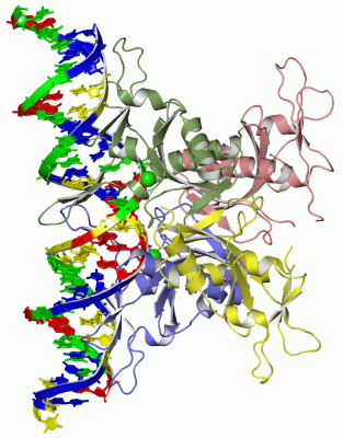 Image Asym./Biol. Unit - manually