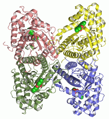 Image Asym./Biol. Unit - manually